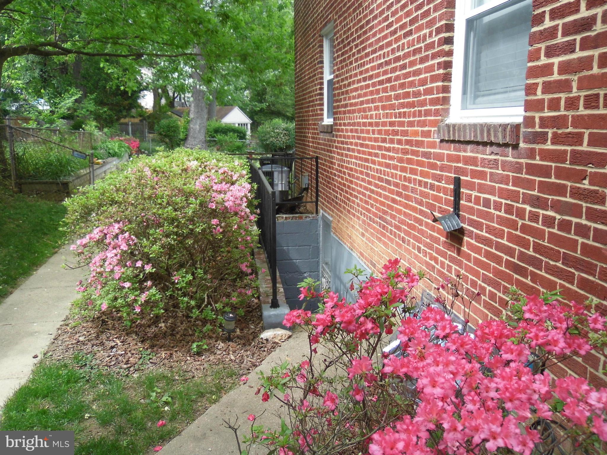 11980 Andrew Street Silver Spring, MD 20902 - Photo 21 of 24 Side Yard