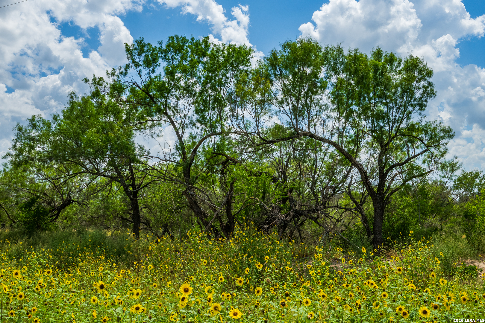 994 Marburger Road Crystal City, TX 78839 - Photo 30 of 52 Gallery Image 30