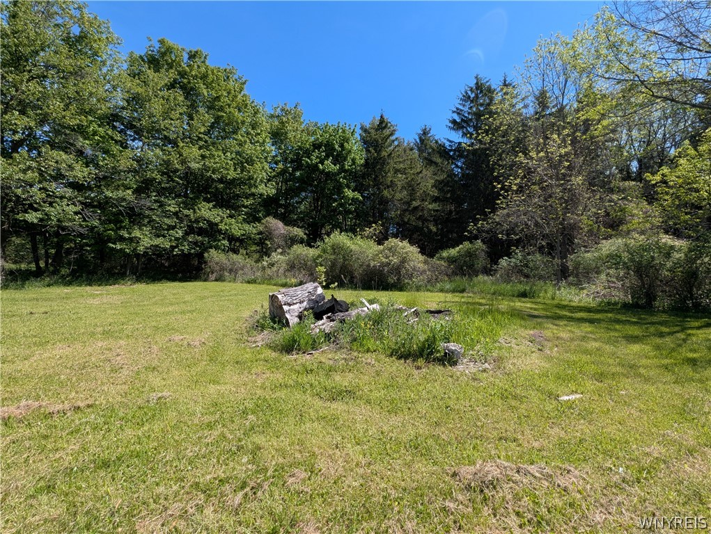 540 Shumway Road Sweden, NY 14420 - Photo 45 of 50