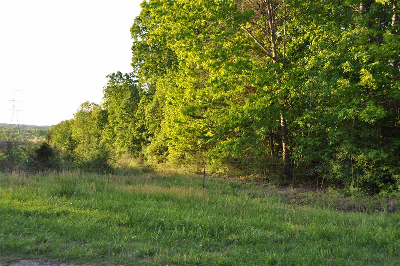 0 Lookout Tower Road Blacksburg, SC 29702 - Photo 1 of 4