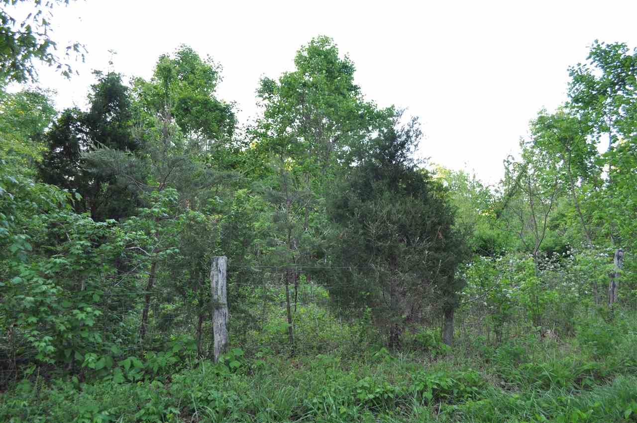 0 Lookout Tower Road Blacksburg, SC 29702 - Photo 2 of 4