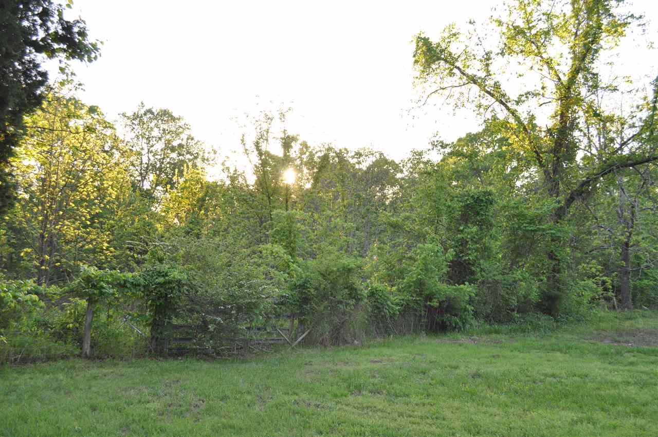 0 Lookout Tower Road Blacksburg, SC 29702 - Photo 4 of 4