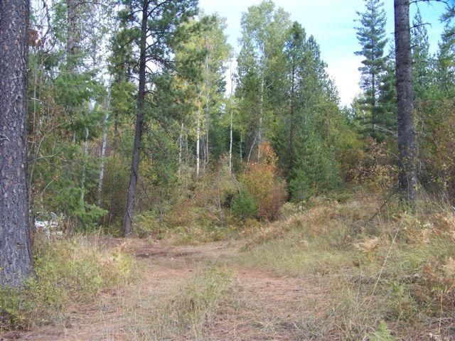 Nna North Rimrock Road Hayden, ID 83835 - Photo 1 of 1 View of Property