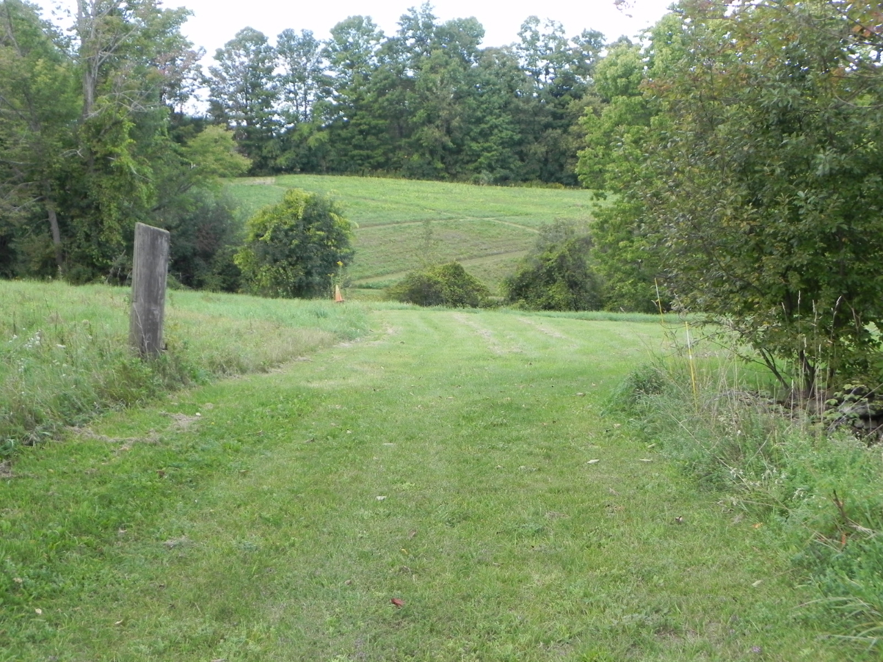 66 Bailey Road Lanesborough, MA 01237 - Photo 25 of 34 DSCN3207