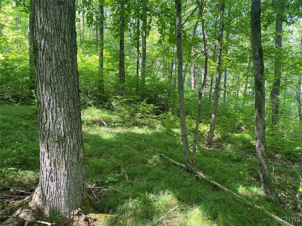 244 State Rte 244 Route Belmont, NY 14813 - Photo 3 of 16