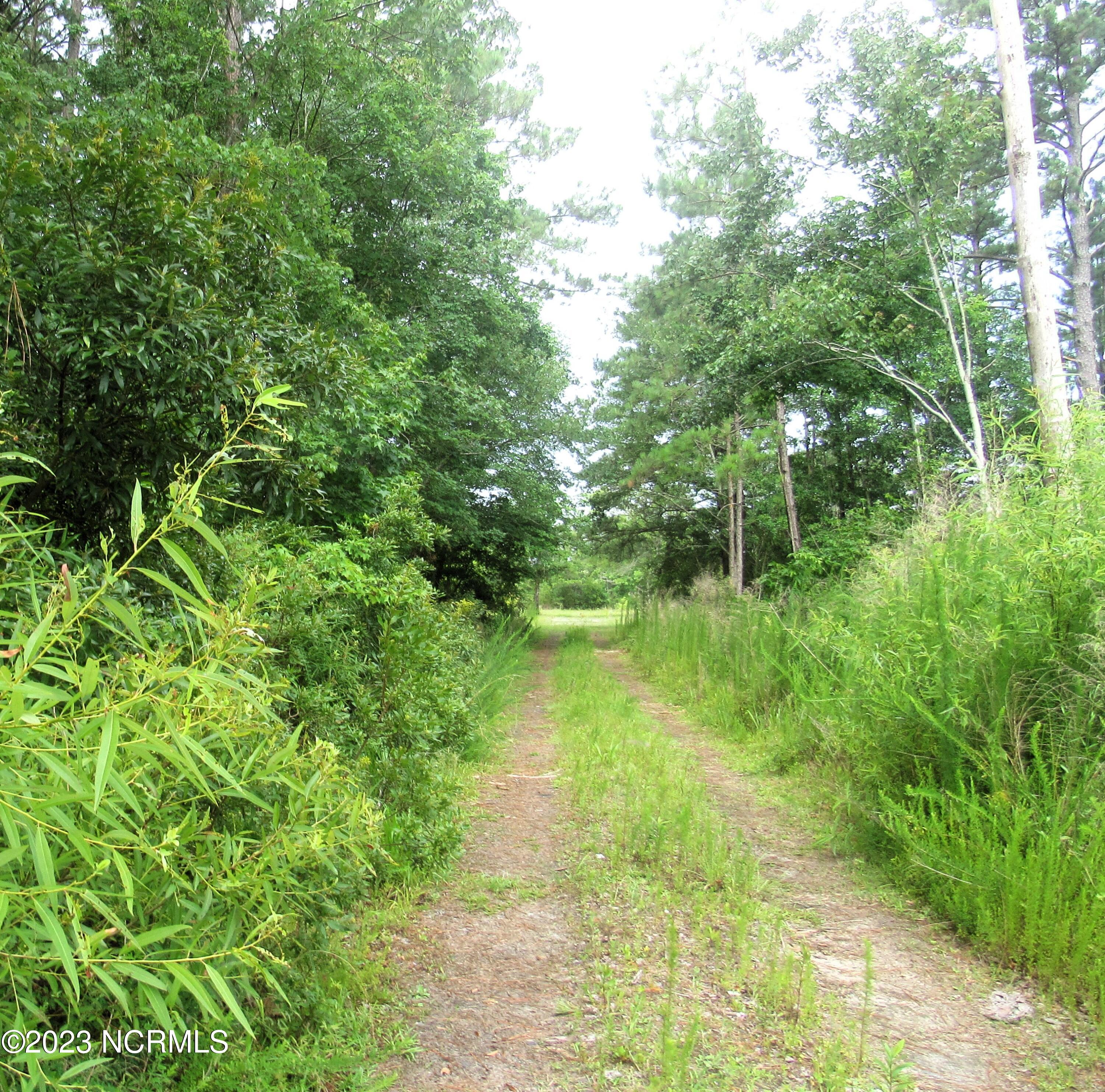 201 McCausley Road Hubert, NC 28539 - Photo 12 of 17 Pic 4