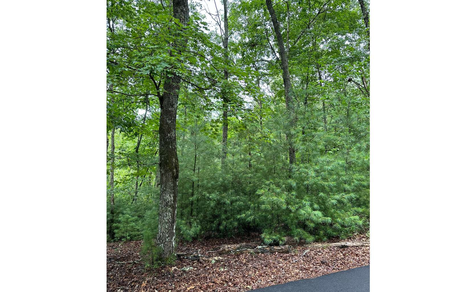 Seneca Drive Ellijay, GA 30540 - Photo 3 of 4 Additional View