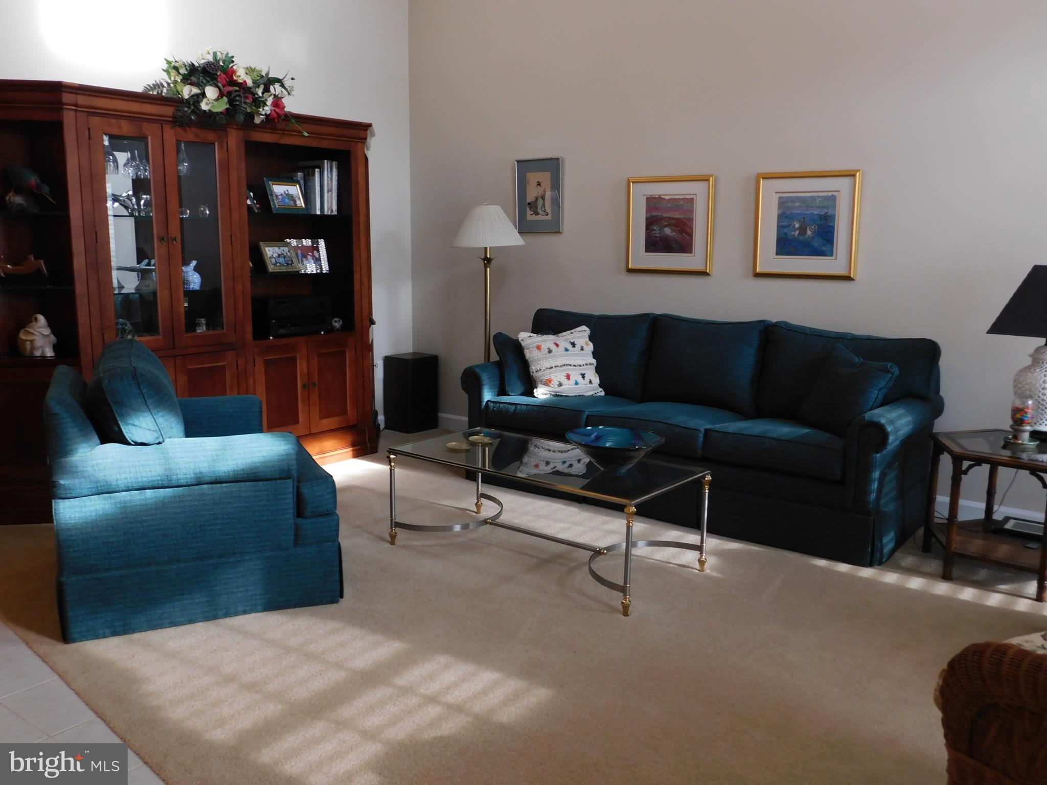 309 Colony Point Place Edgewater, MD 21037 - Photo 2 of 17 Sunny Living Room with carpet and skylight