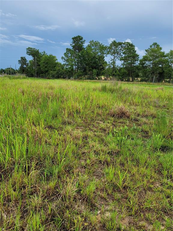 0 Emerald Road Ocala, FL 34472 - Photo 1 of 1 Gallery Image 1