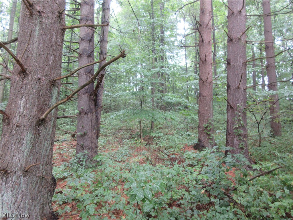 0 County Road Jewett, OH 43986 - Photo 3 of 15 Gallery Image 3