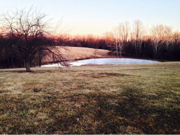 11458 Scotts Ridge Road Rising Sun, IN 47040 - Photo 23 of 24