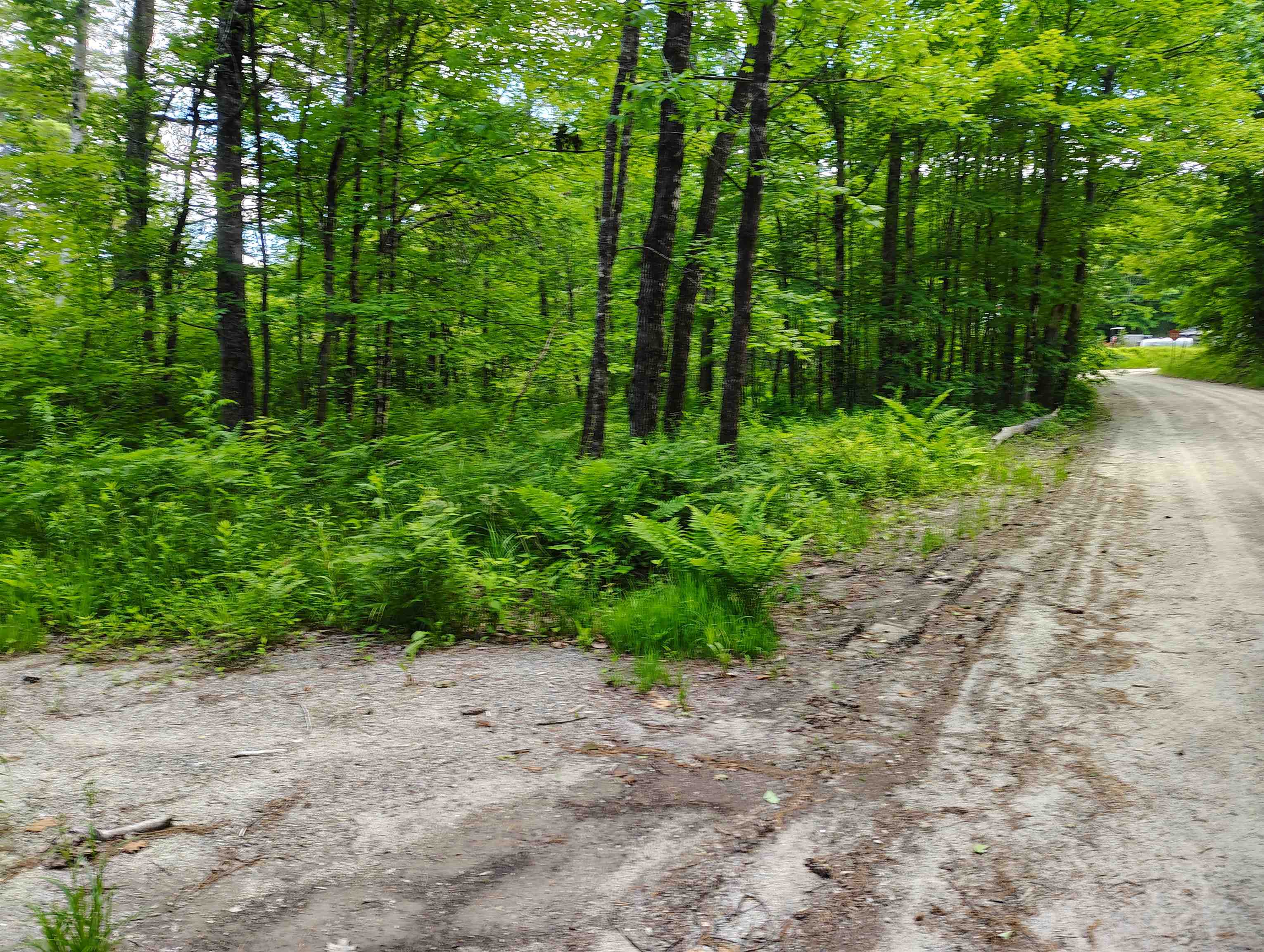 12 Frescoln Road Wentworth, NH 03282 - Photo 3 of 9