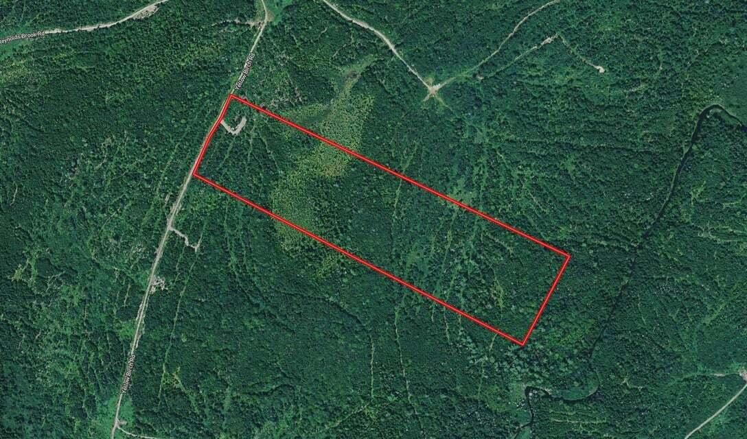 Lot 2-13 Yellow Birch Road Whiting, ME 04691 - Photo 3 of 15 Map 2 Lot 13 Aerial Estimated Map