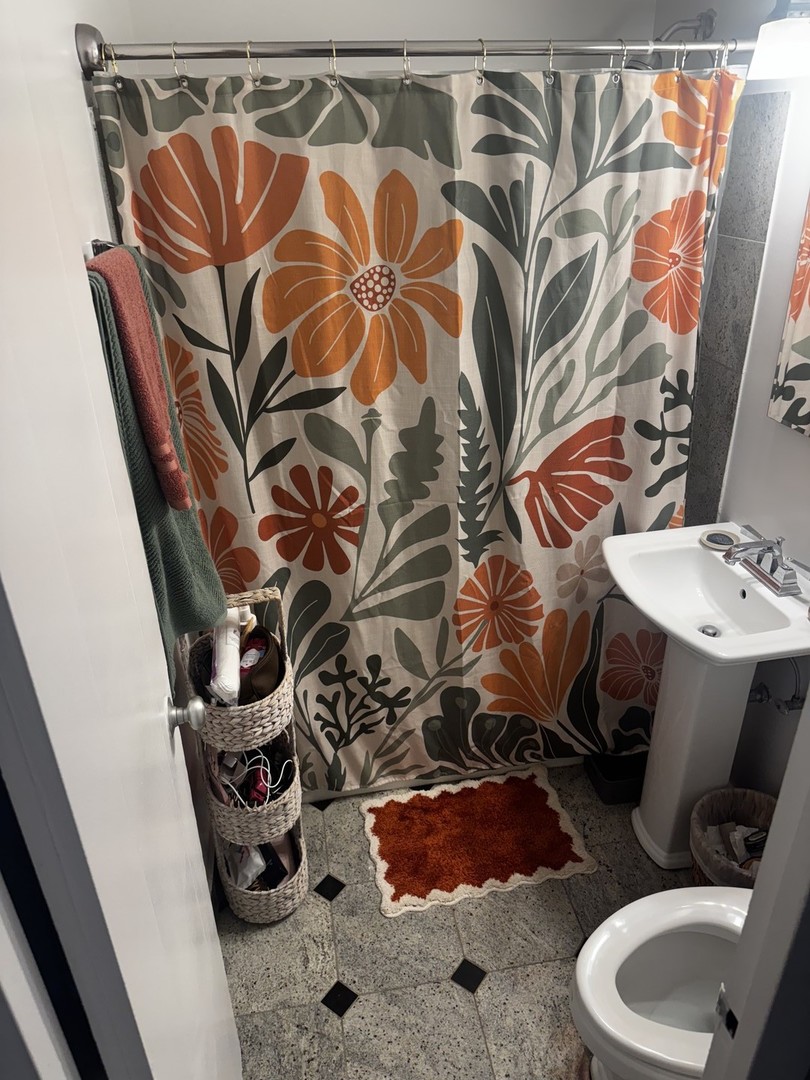 2933 North Sheridan Road, Unit 1201 Chicago, IL 60657 - Photo 10 of 16 a bathroom with a sink and mirror with toilet