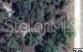 Kingbird Road Weeki Wachee, FL 34614 - Photo 1 of 1 Gallery Image 1