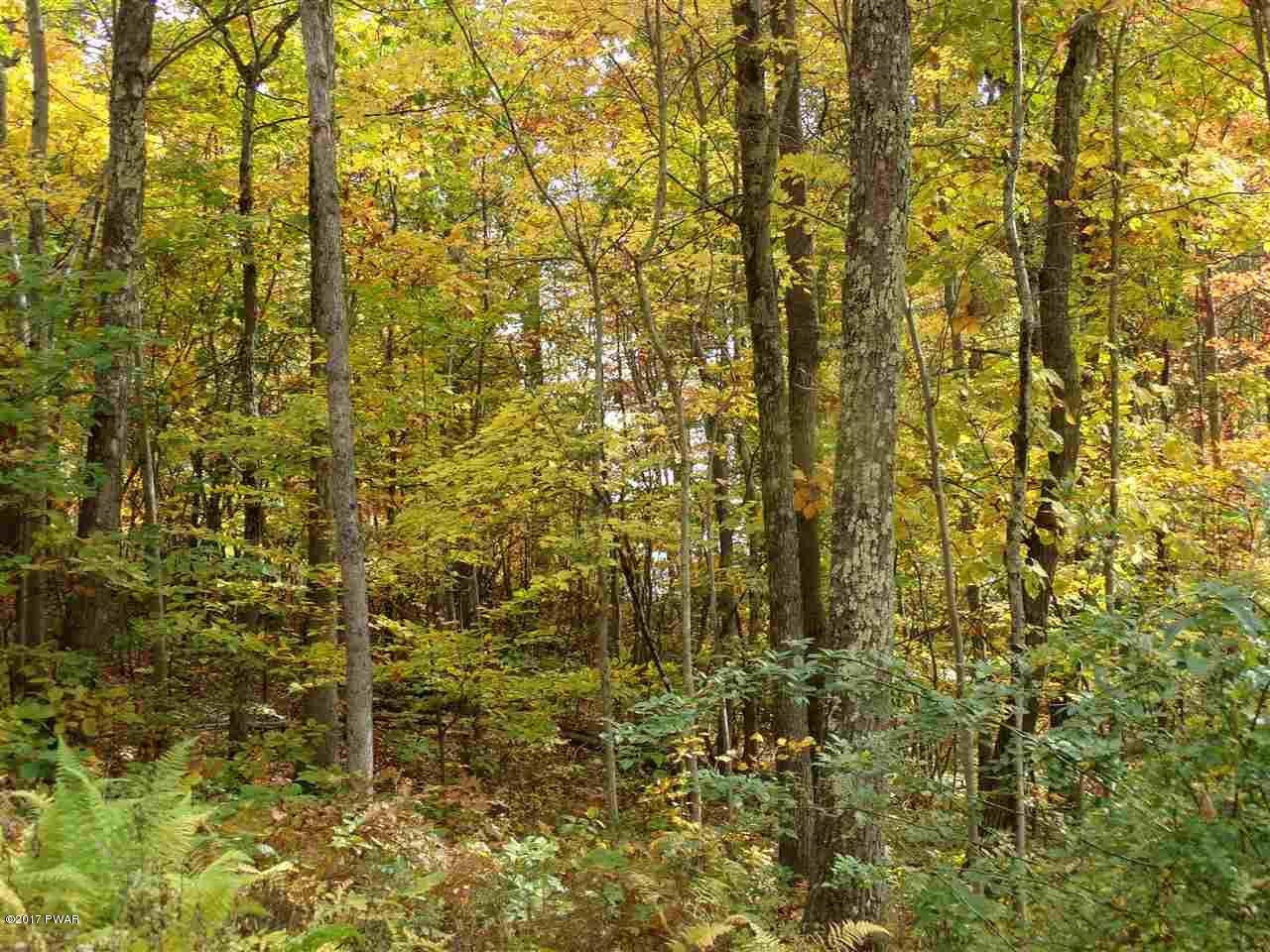 Lot 6.82 Lenni Lenape Road Narrowsburg, NY 12764 - Photo 7 of 17