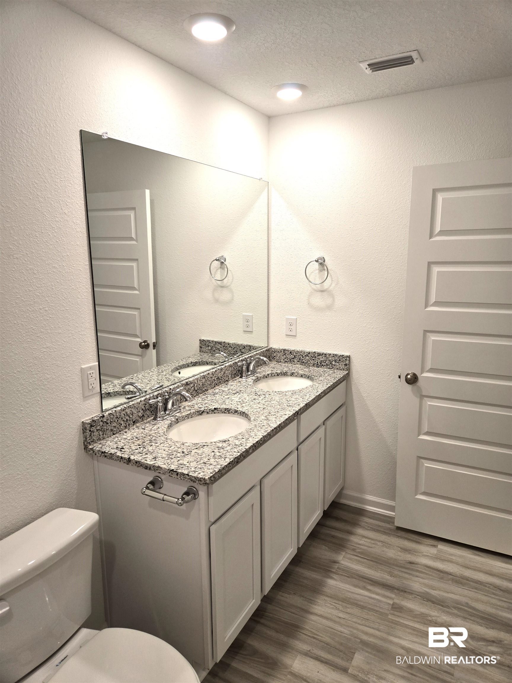 24385 Ringneck Loop Elberta, AL 36530 - Photo 22 of 33 Bathroom featuring toilet, vanity, wood-type flooring, and a textured ceiling