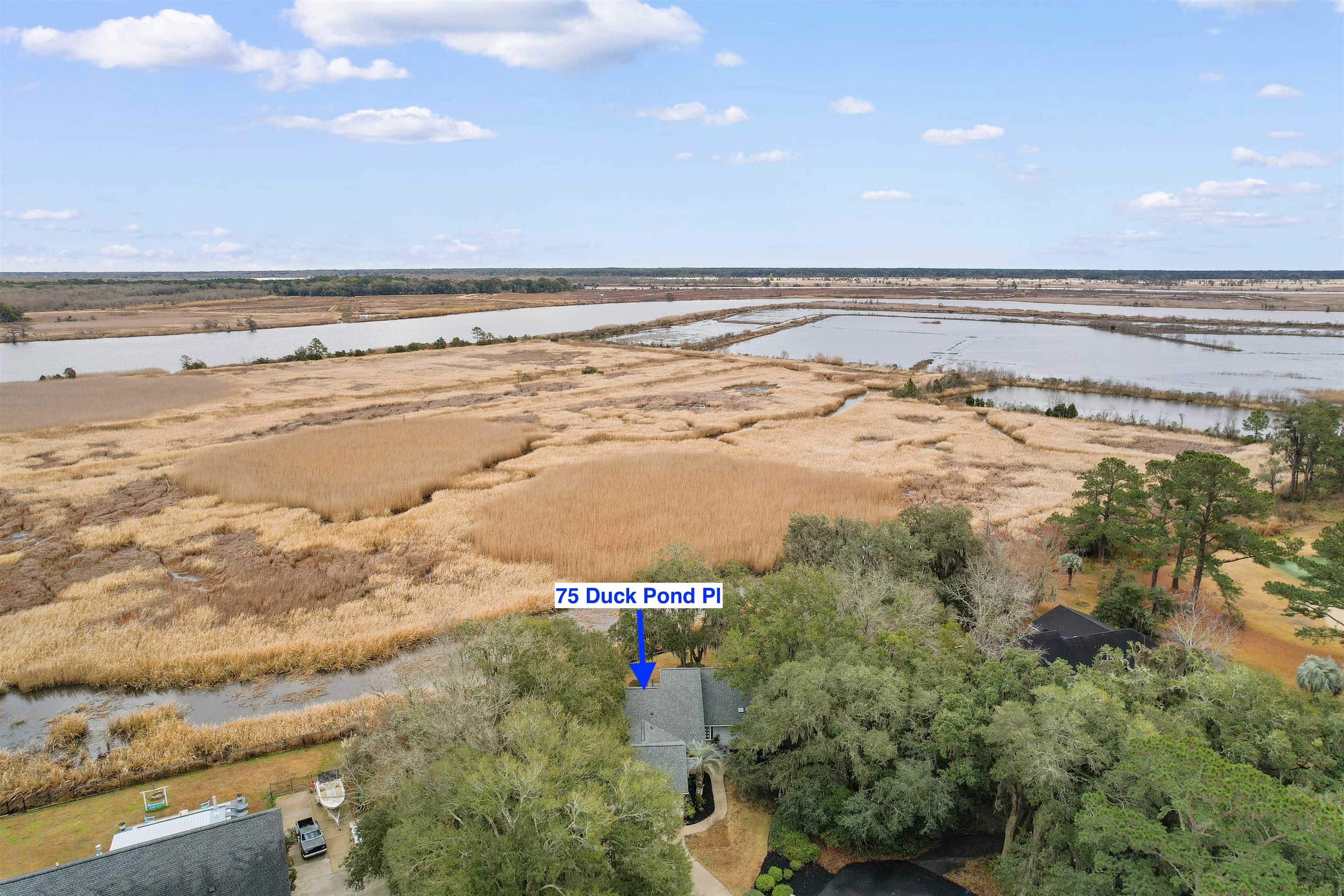 75 Duckpond Place Georgetown, SC 29440 - Photo 32 of 60