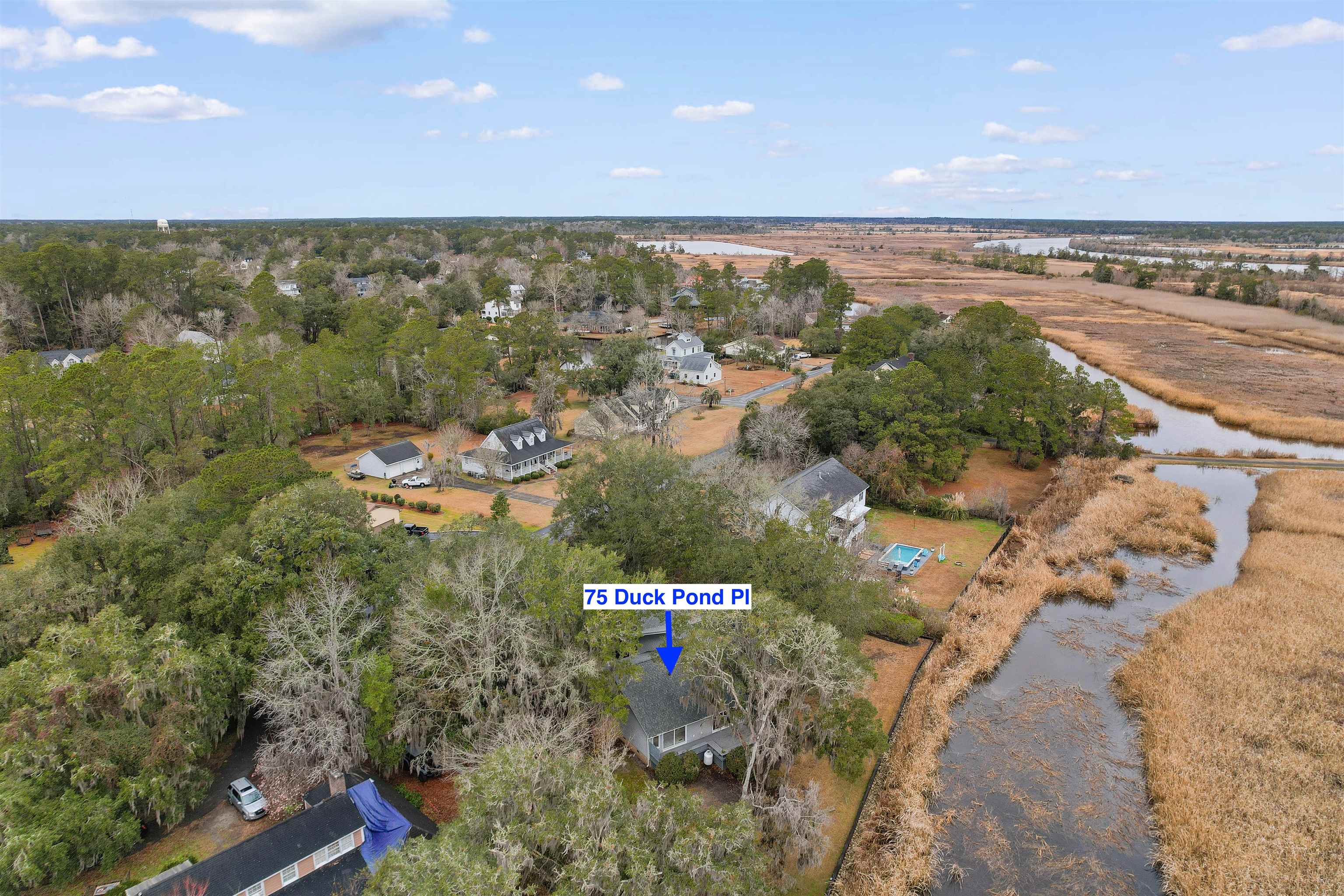 75 Duckpond Place Georgetown, SC 29440 - Photo 34 of 60