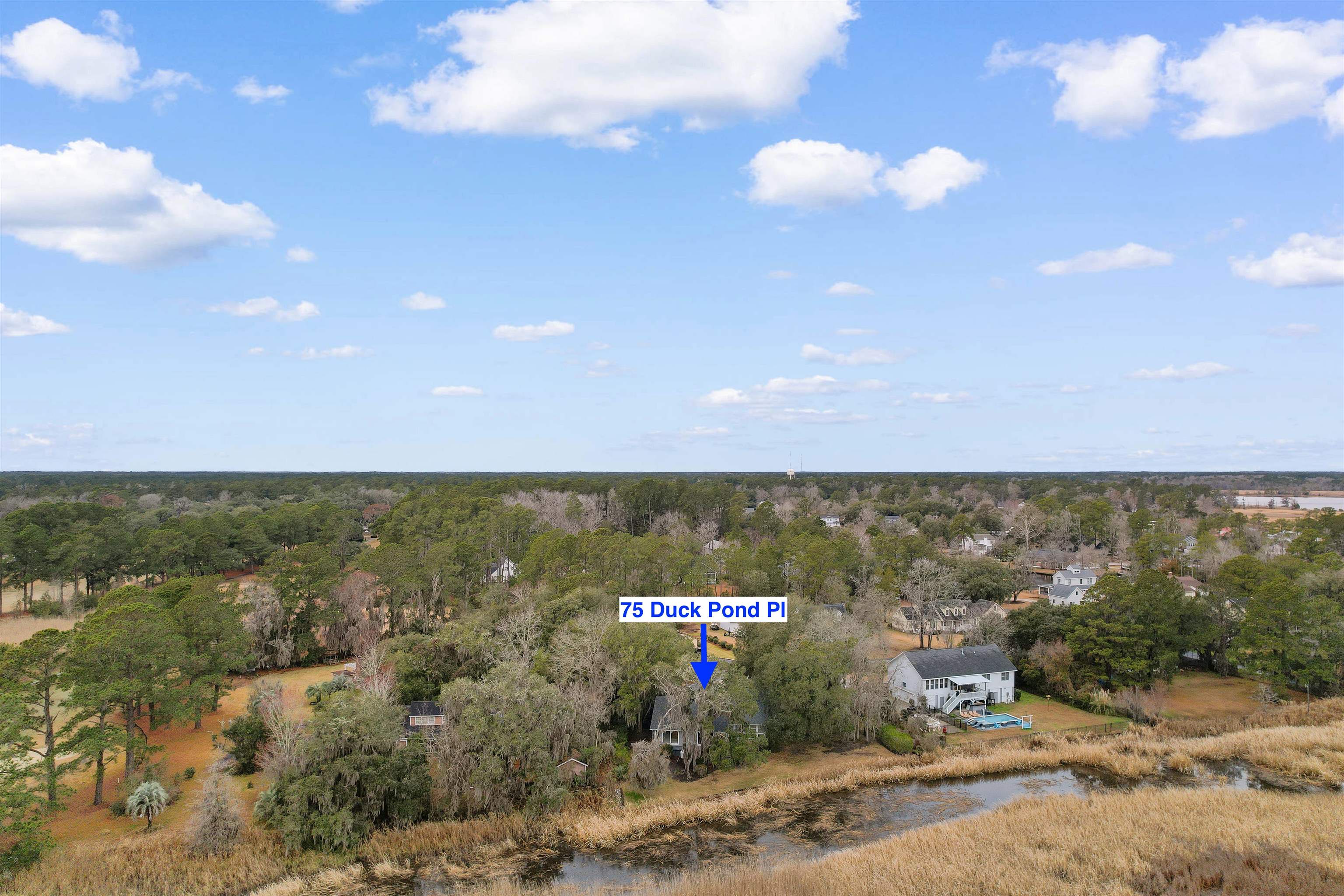 75 Duckpond Place Georgetown, SC 29440 - Photo 36 of 60