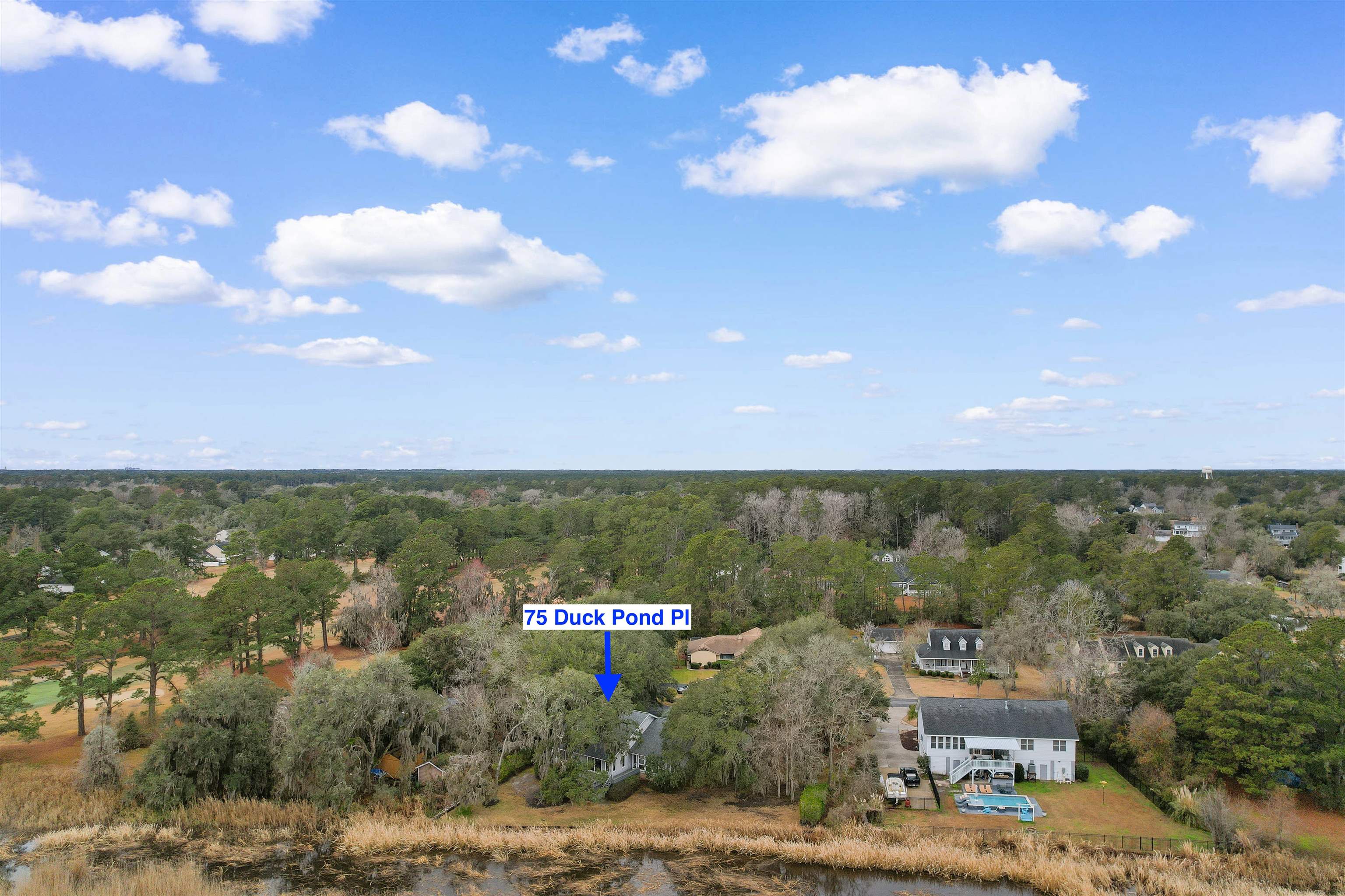 75 Duckpond Place Georgetown, SC 29440 - Photo 38 of 60