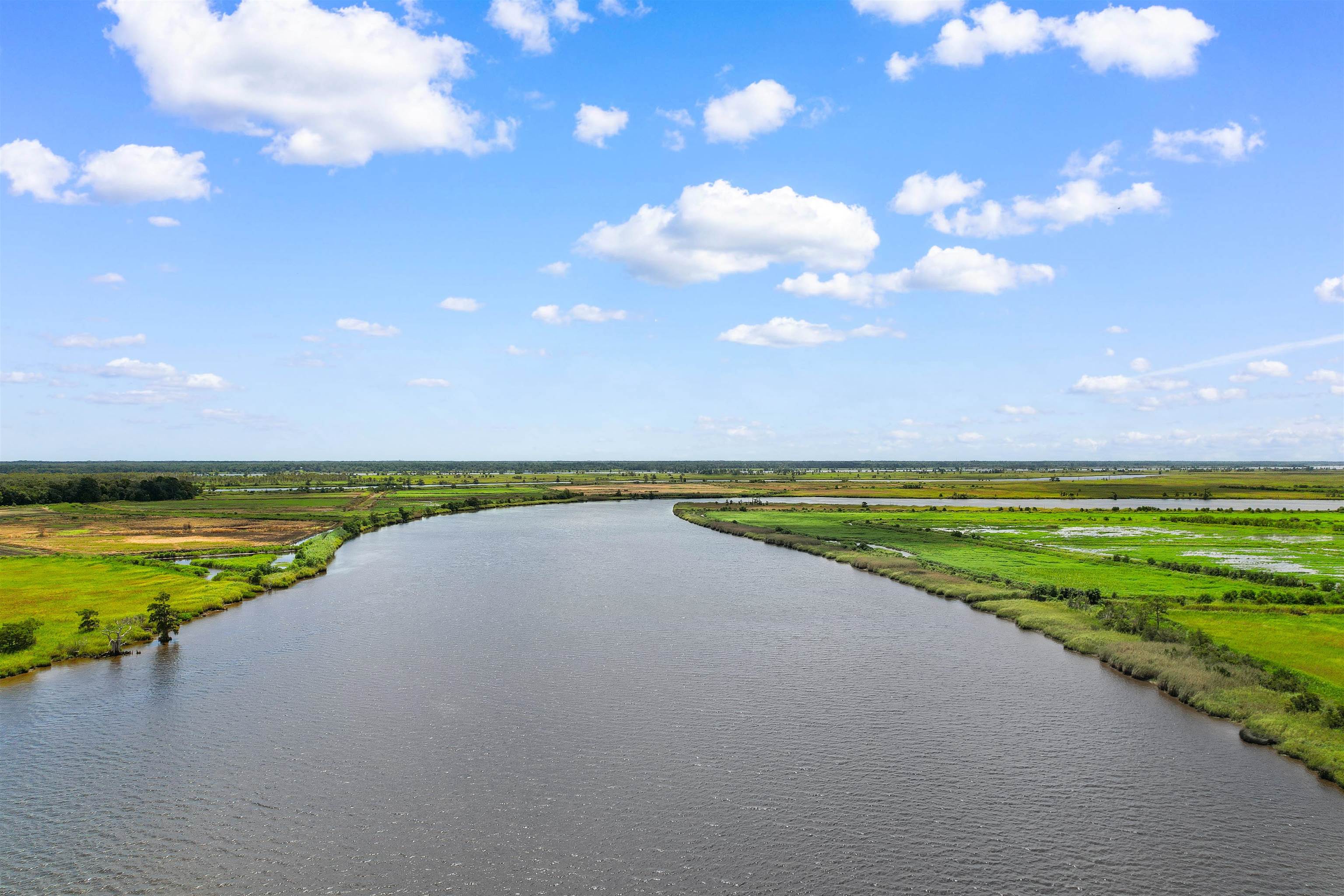 75 Duckpond Place Georgetown, SC 29440 - Photo 44 of 60
