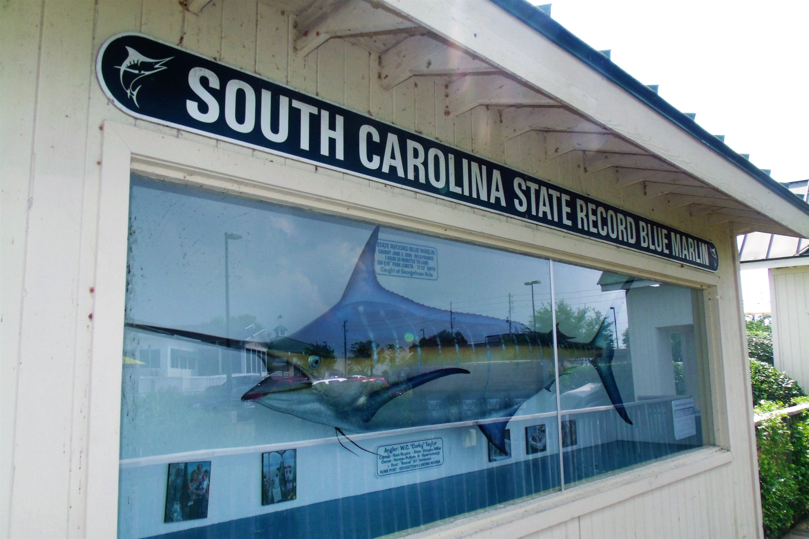 75 Duckpond Place Georgetown, SC 29440 - Photo 60 of 60