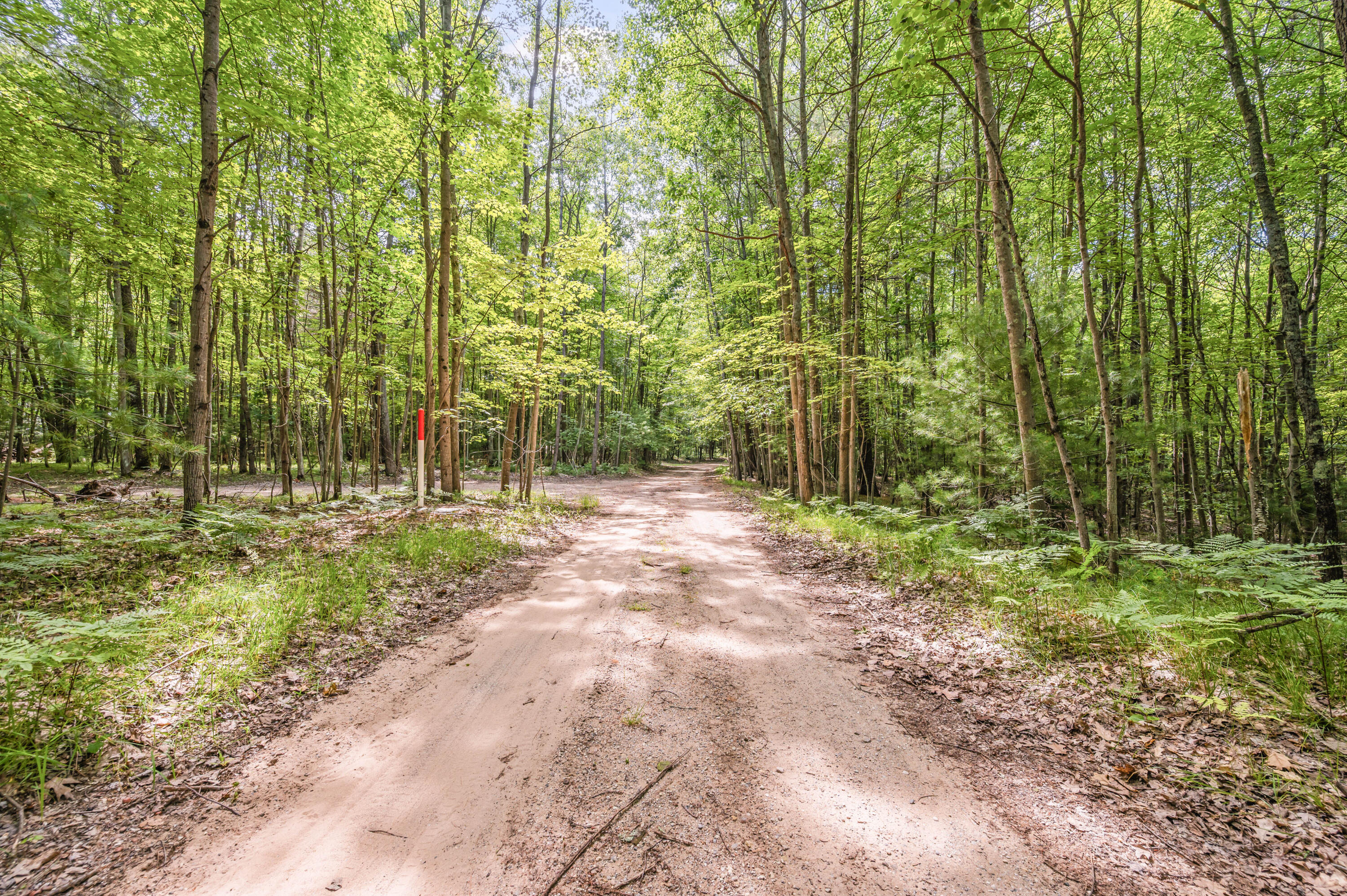 15 West 12 Mile Road Irons, MI 49644 - Photo 7 of 32 Lot15-12MileRd-Irons-15