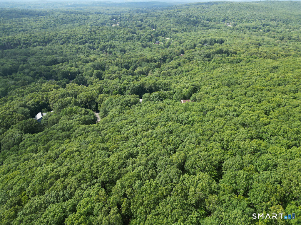 130 Mountain View Road Glastonbury, CT 06033 - Photo 5 of 12 a view of a big yard with plants and large trees