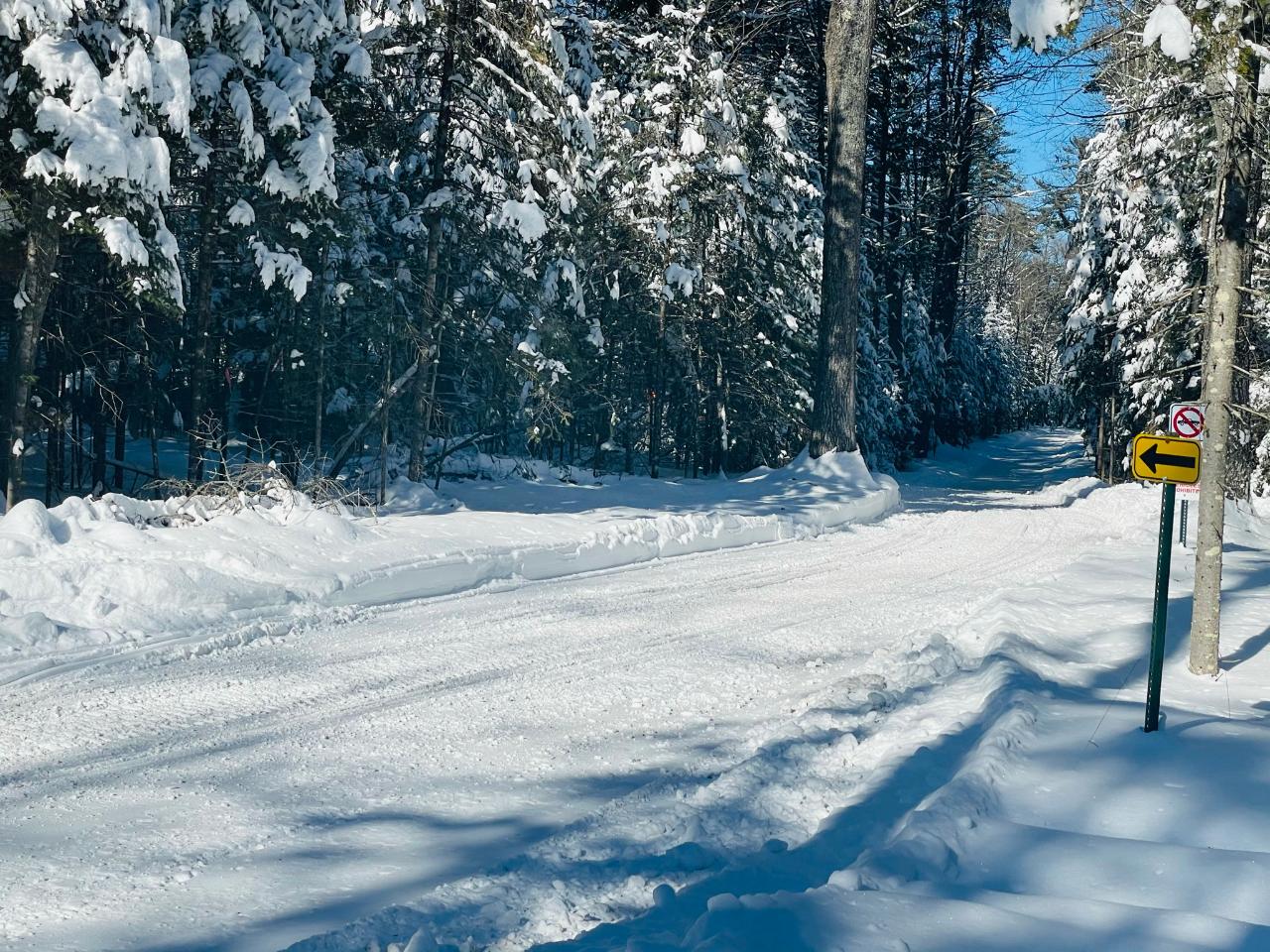 Lot 44 Pine Crest Colony East Rhinelander, WI 54501 - Photo 19 of 26 Gallery Image 19