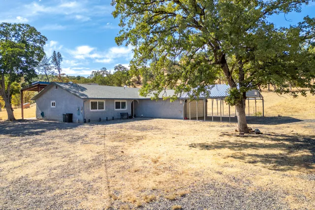 a view of a yard with a tree