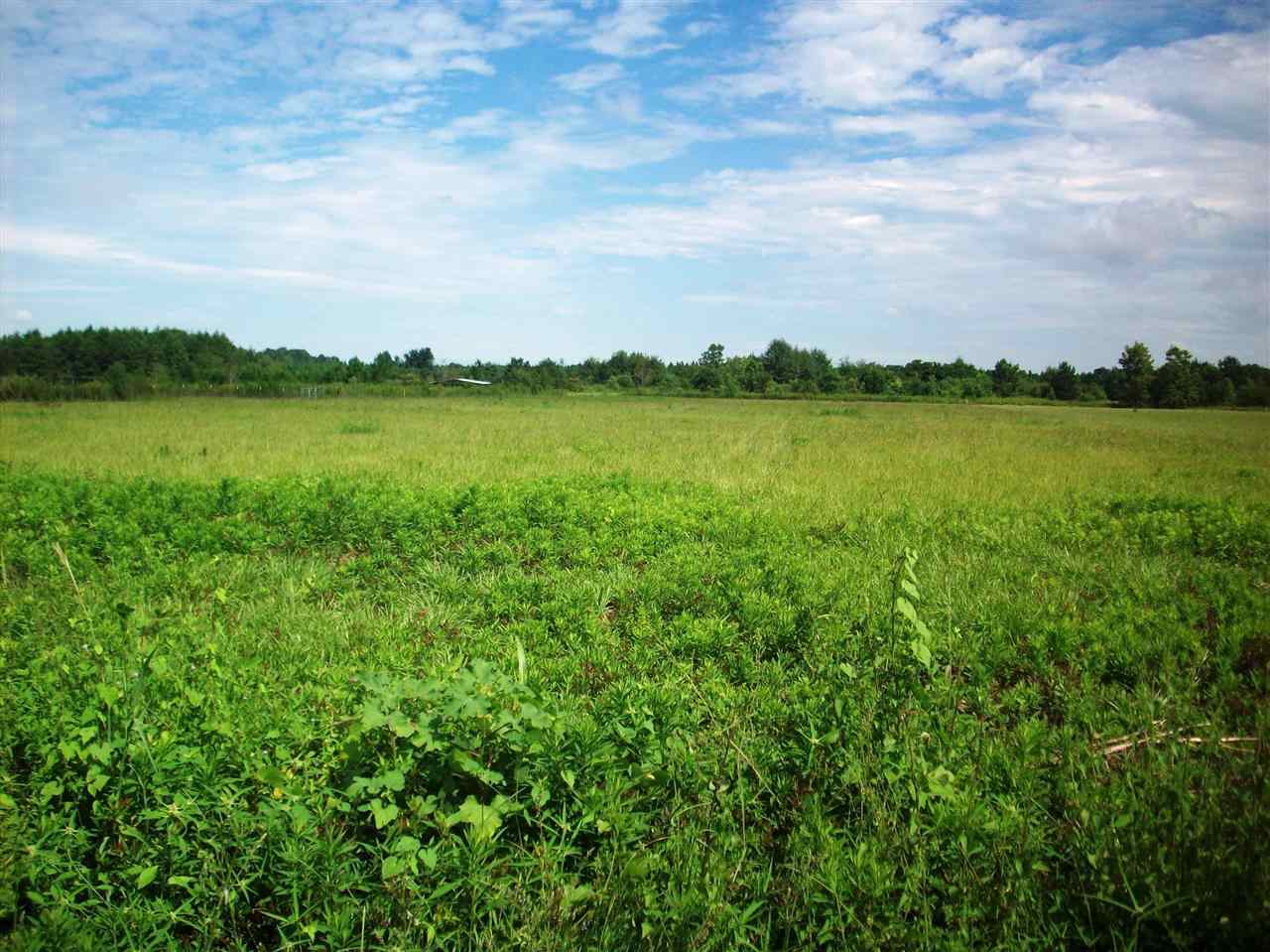 1500-blk Smith Dairy Road Atmore, AL 36502 - Photo 5 of 10