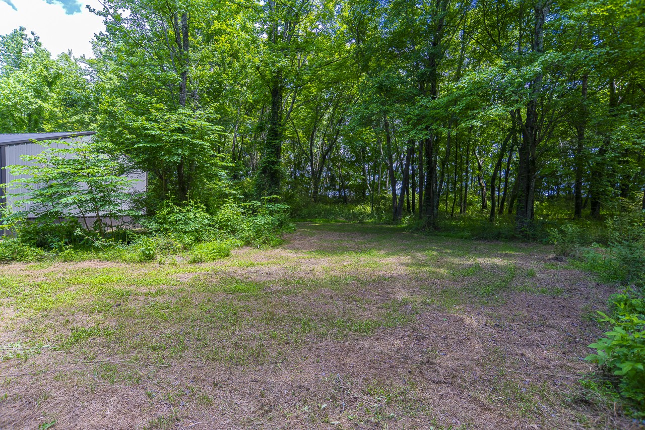23 Grassy Branch Road Flintville, TN 37335 - Photo 10 of 24 a view of a yard with large trees