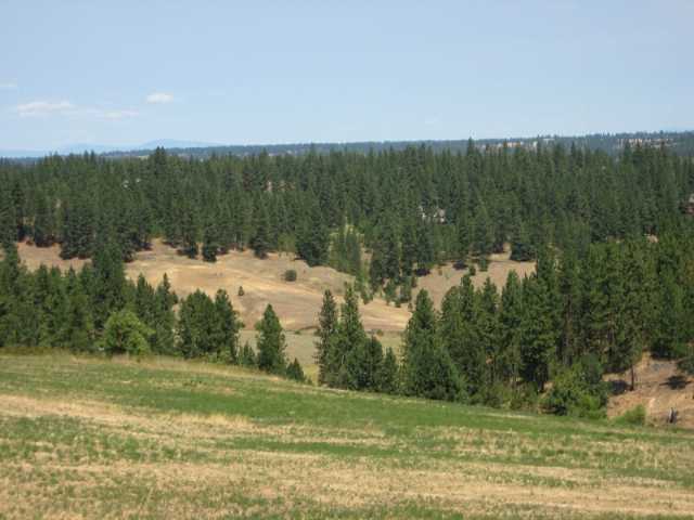 0 Stentz Road, Unit LOT 5 Spangle, WA 99031 - Photo 1 of 4