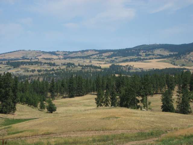 0 Stentz Road, Unit LOT 5 Spangle, WA 99031 - Photo 2 of 4