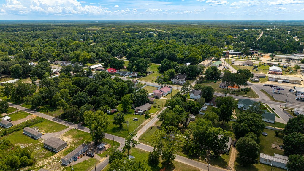 101 South Johnson Street Samson, AL 36477 - Photo 51 of 53