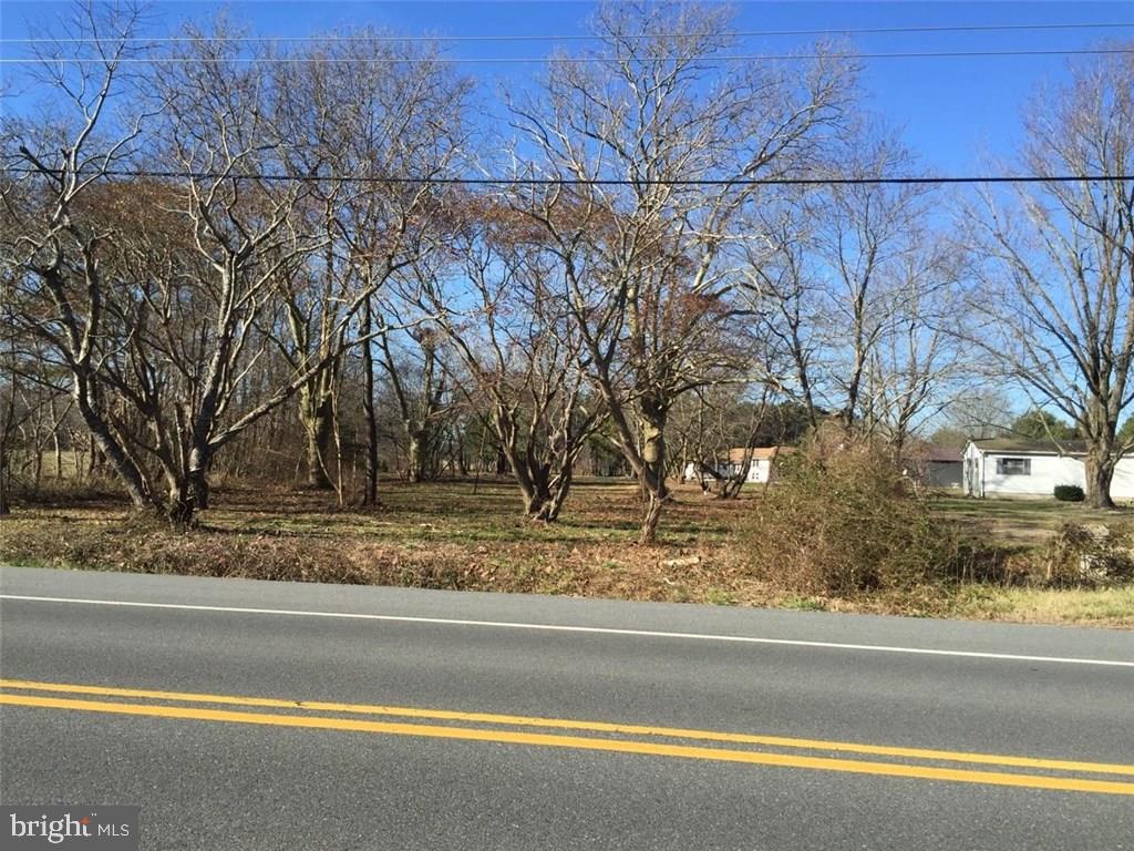 0 Omar Road Frankford, DE 19945 - Photo 1 of 1 Gallery Image 1