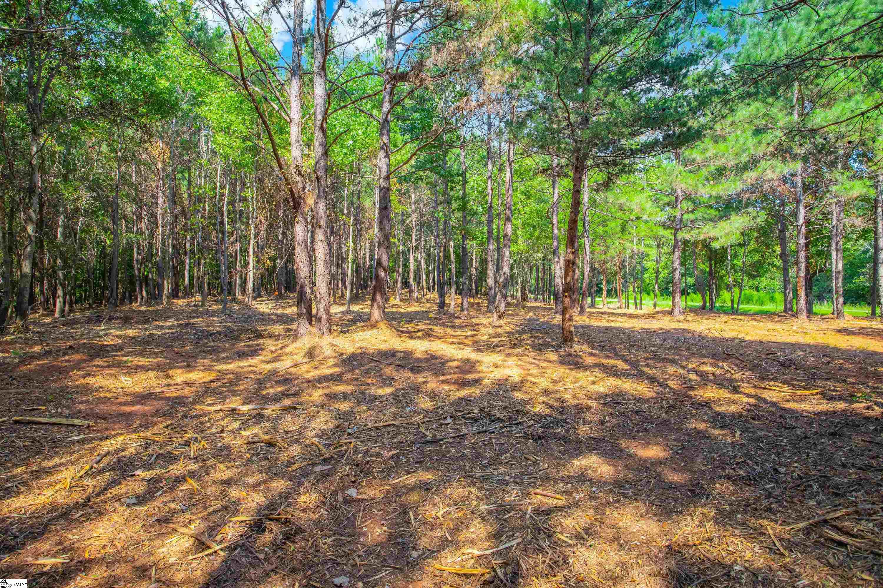 0 Goldmine Road, Unit LOT #4 Spartanburg, SC 29302 - Photo 12 of 16 Gallery Image 12