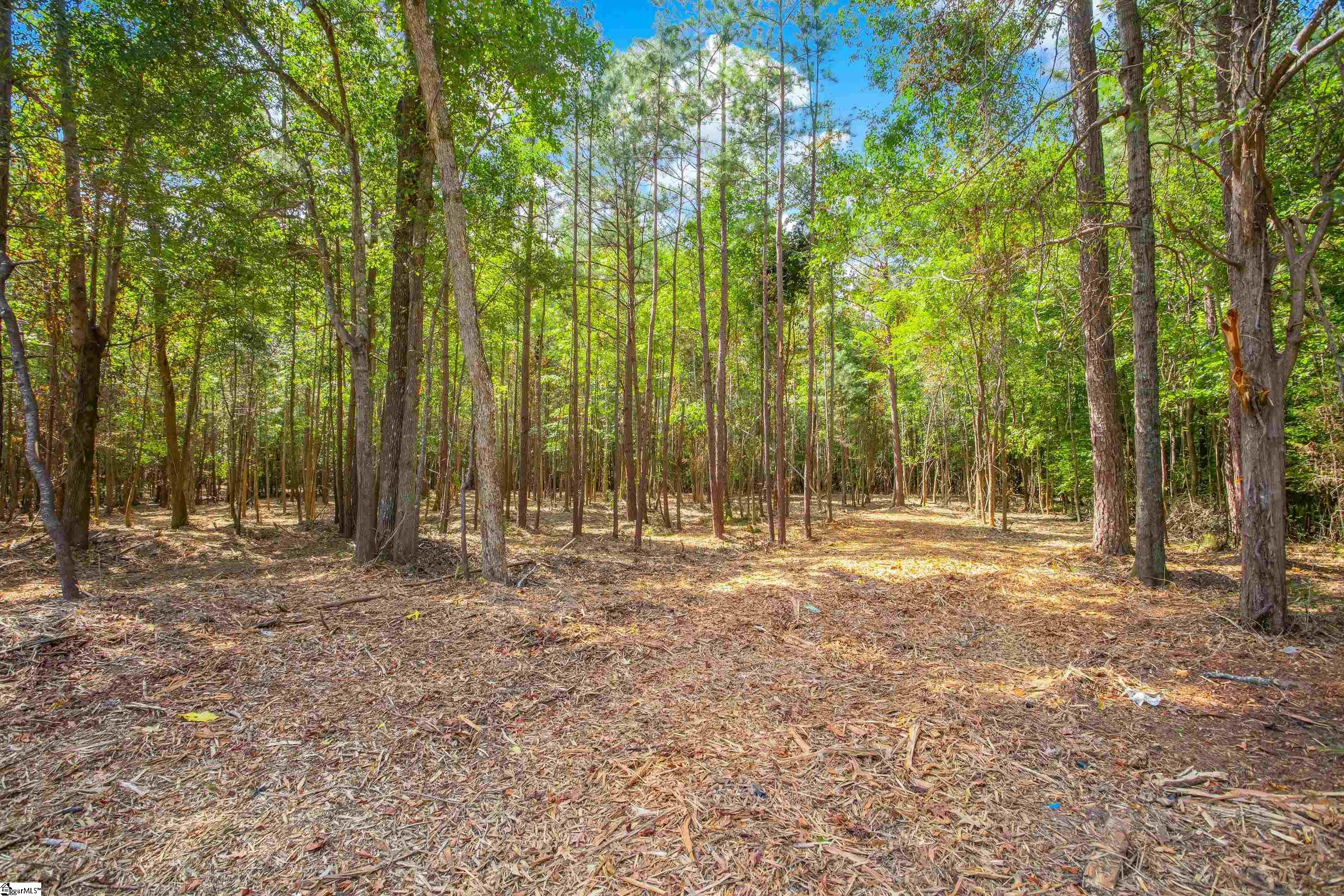 0 Goldmine Road, Unit LOT #4 Spartanburg, SC 29302 - Photo 10 of 16 Gallery Image 10
