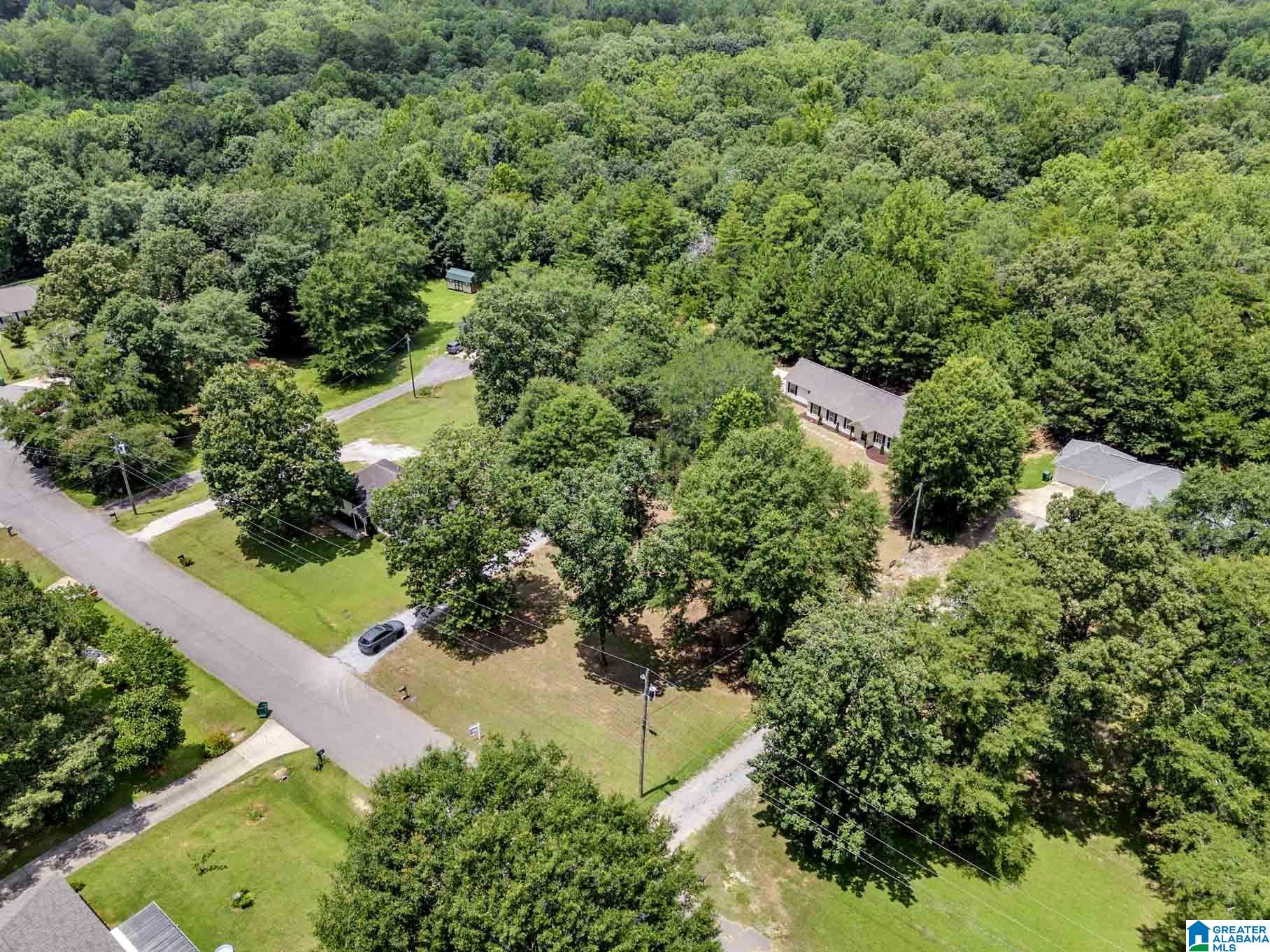 20953 Walnut Lane Vance, AL 35490 - Photo 40 of 48