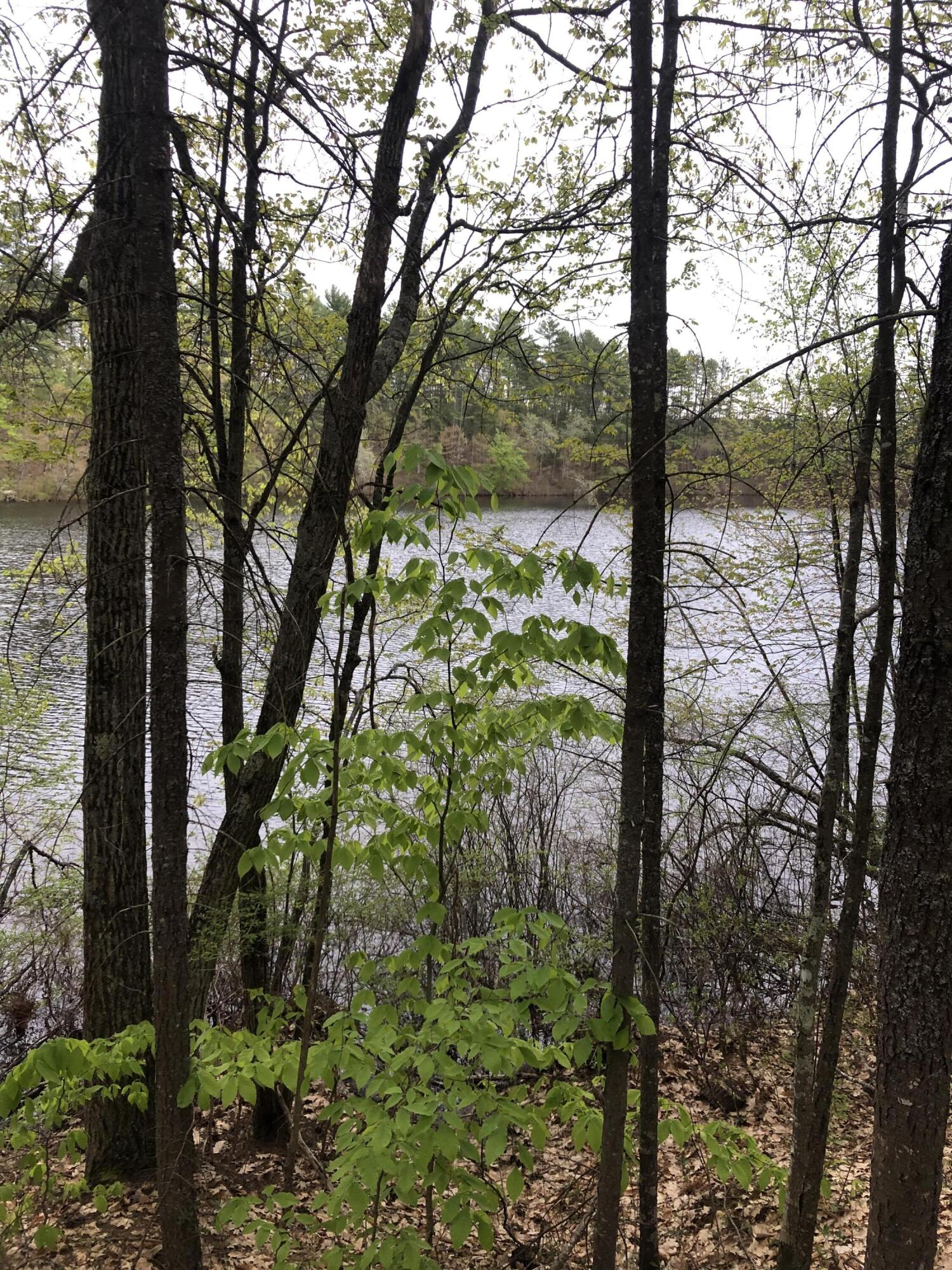 Lot 13 Old County Road Oxford, ME 04270 - Photo 6 of 15 IMG_3299