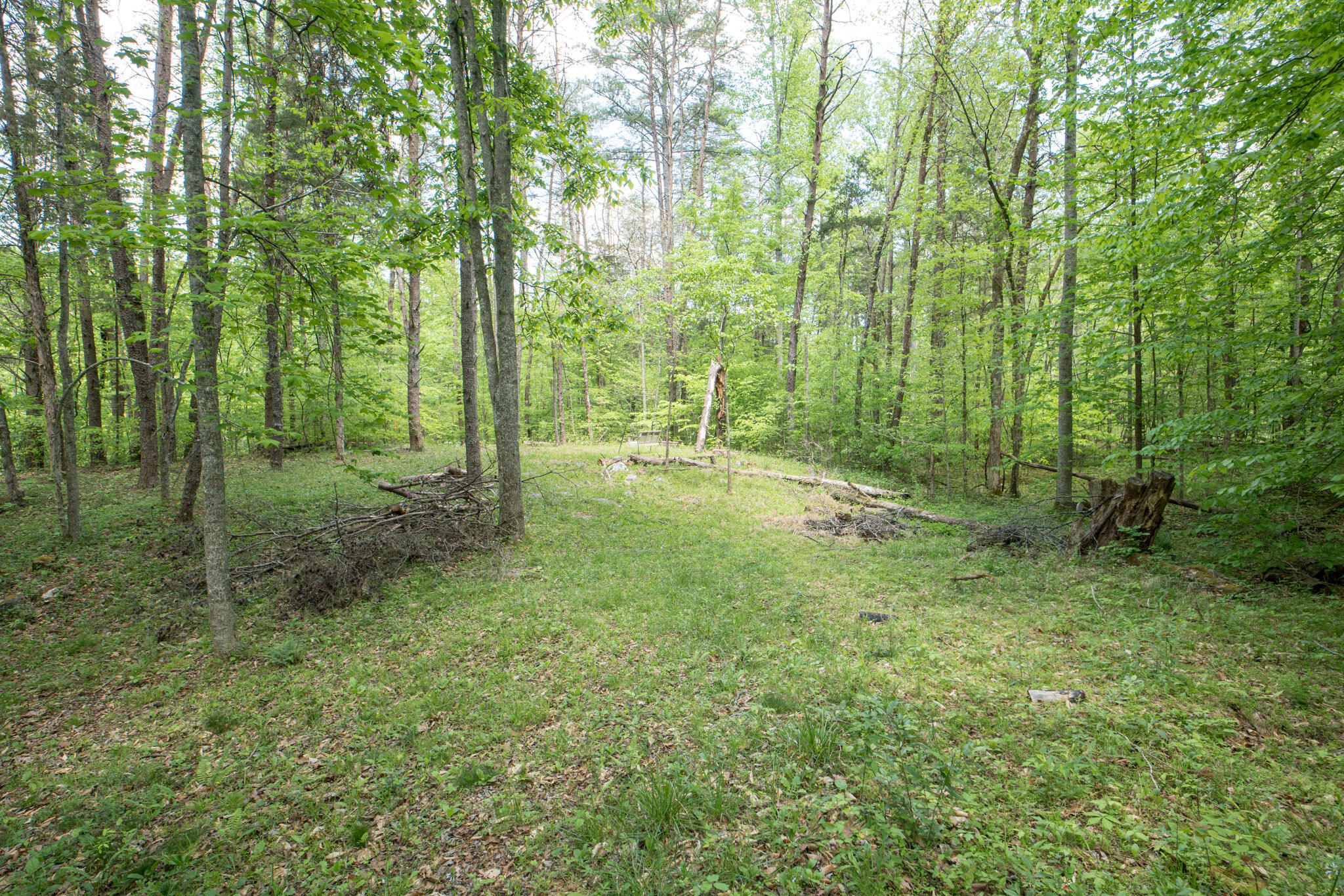 2040 Echo Point Road Bronston, KY 42518 - Photo 43 of 81 2040EchoPointRd-63