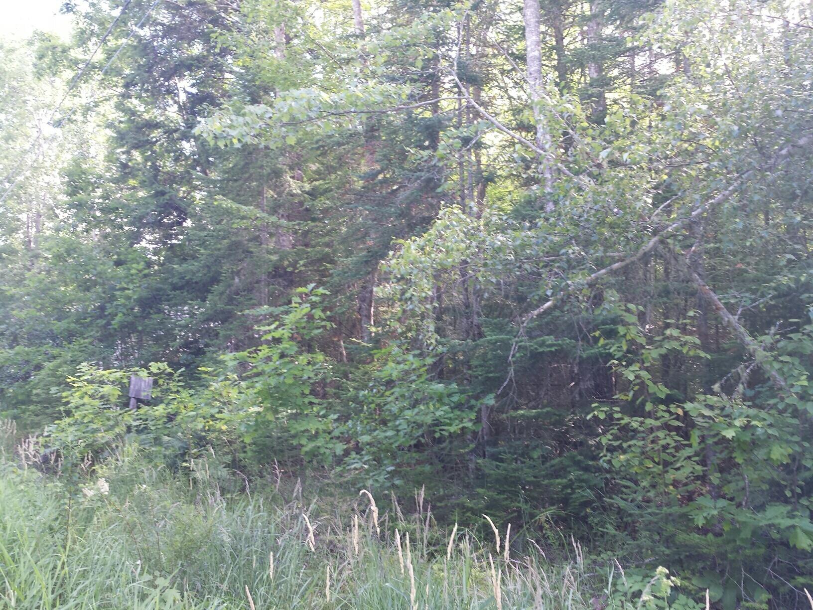 Lot 23 Edinburg Road Howland, ME 04448 - Photo 11 of 12 20150723_164253_resized