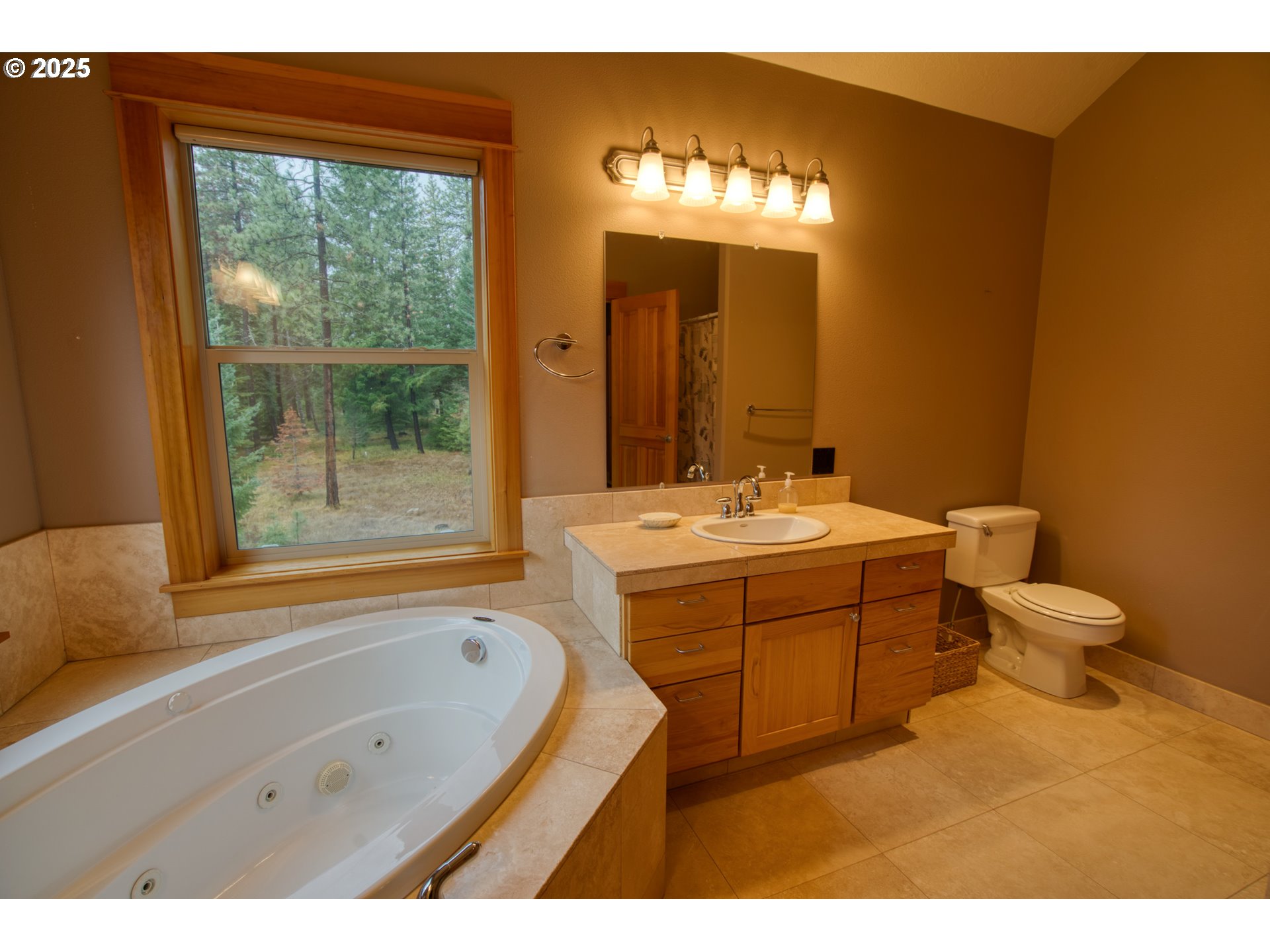 10 Emma Lane Trout Lake, WA 98650 - Photo 35 of 45 a bathroom with a sink and a mirror