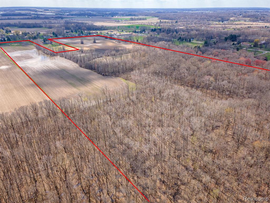 4 Carleton Rockwood Road Carleton, MI 48117 - Photo 11 of 31