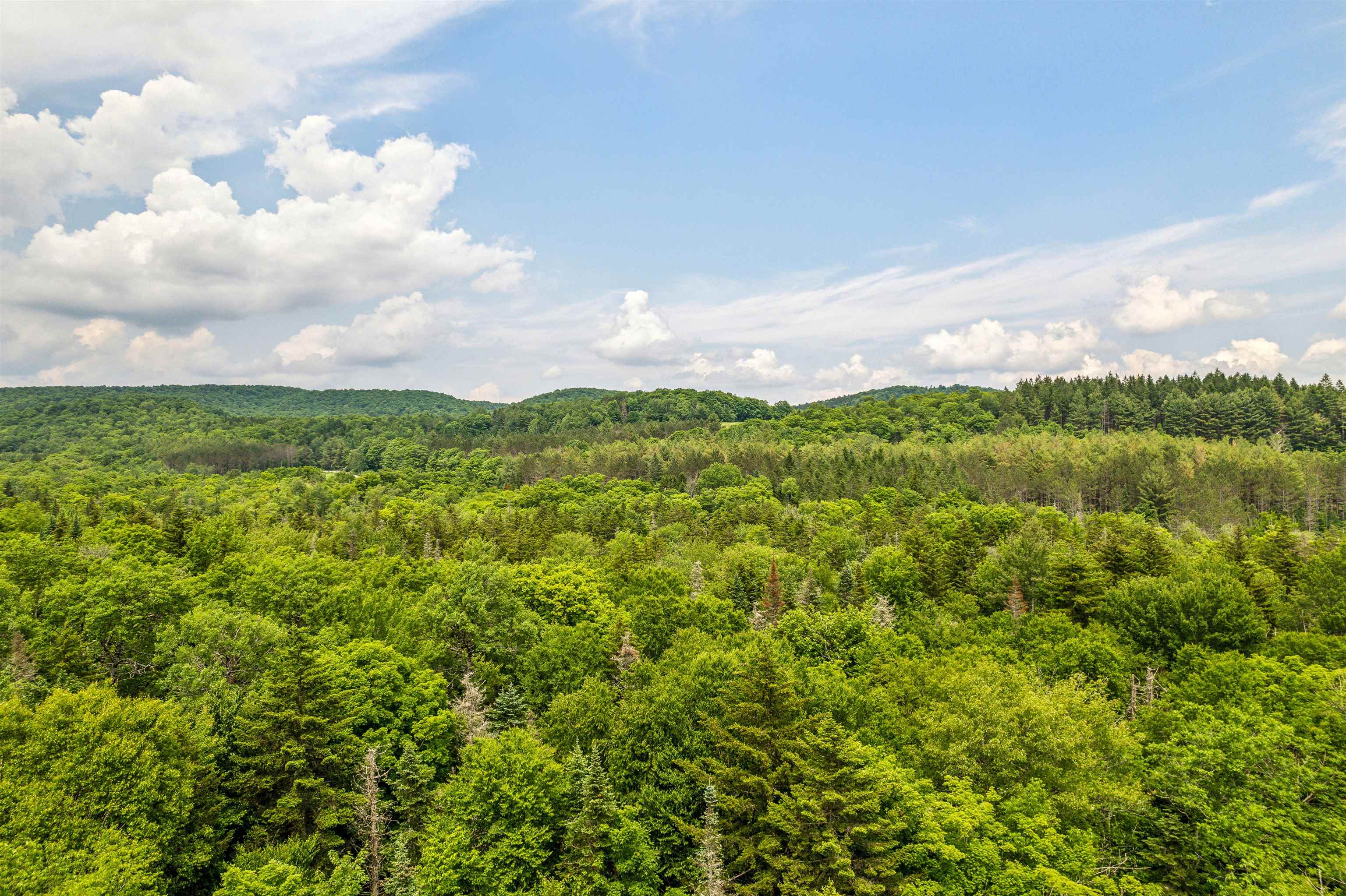 288 Scales Hill Road Washington, VT 05675 - Photo 43 of 46