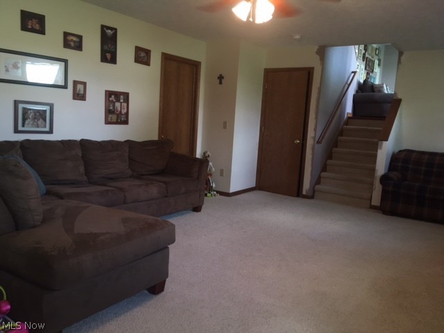 10924 Parmenter Road Burbank, OH 44214 - Photo 20 of 34 Gallery Image 20
