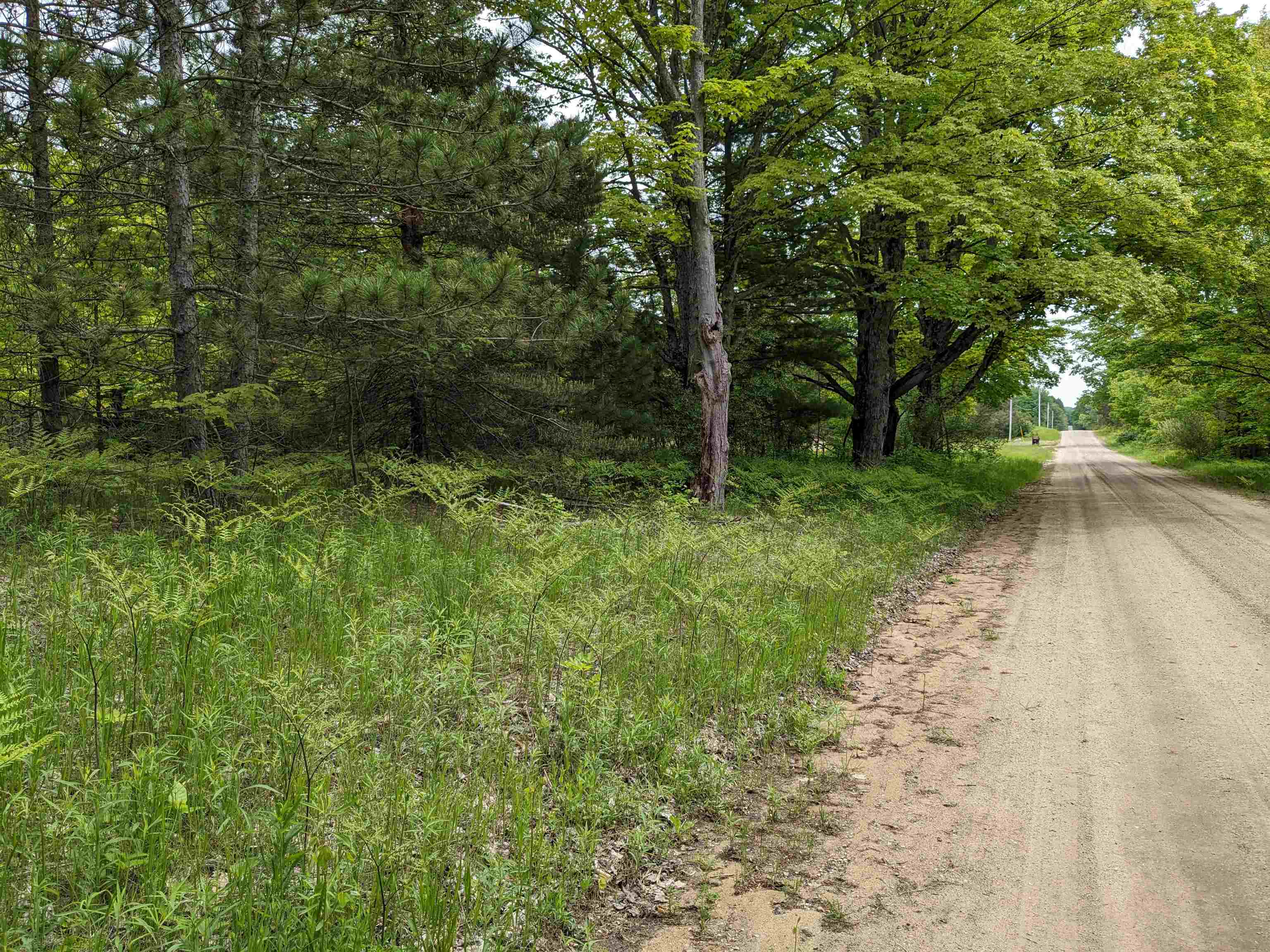 0 East 26 Road Cadillac, MI 49601 - Photo 2 of 15