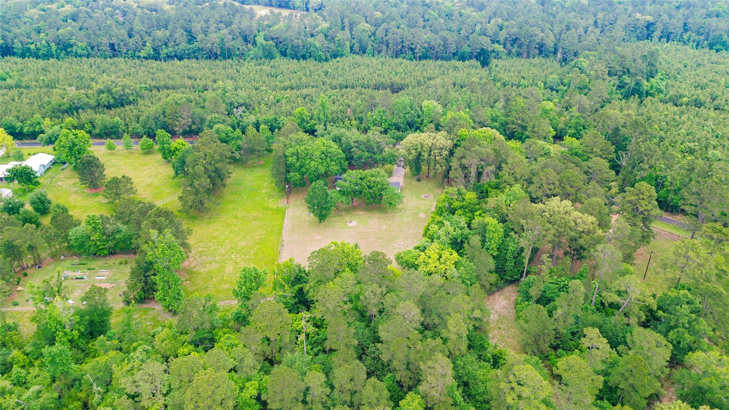 74 Robinson Road Huntsville, TX 77320 - Photo 30 of 33 a view of a lush green forest with lots of trees