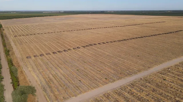 a view of a green field